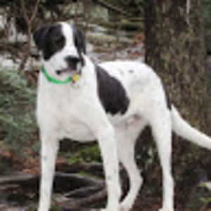 Meet your Posher, Georgia